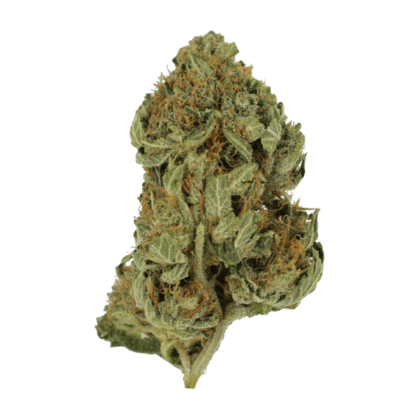 Bubblegum – 1 ounce | Cannalyft Canada