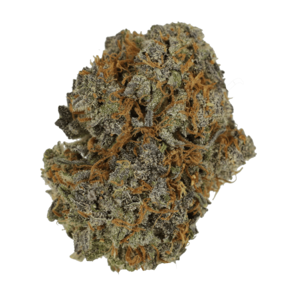 Jack Herer 1 Ounce | Cannalyft Canada