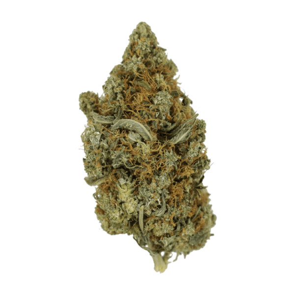 Jack Herer 1 Ounce | Cannalyft Canada