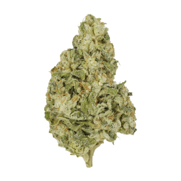 Zombie OG | Cannalyft Canada