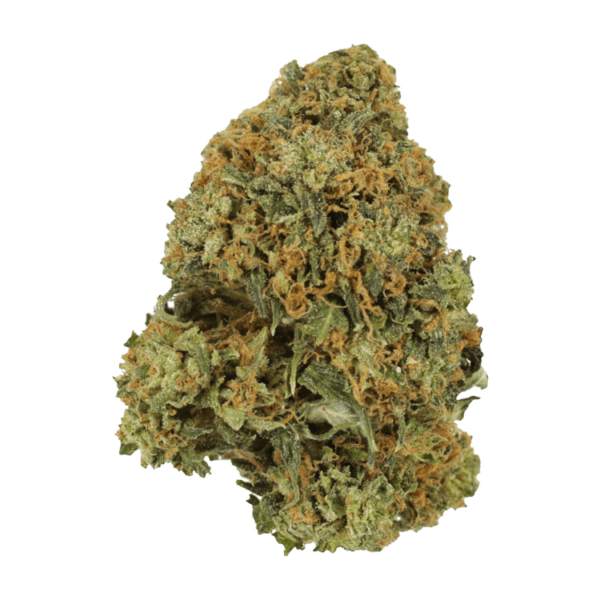 Durban Poison | Cannalyft Canada