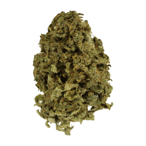 Nebula | Cannalyft Canada