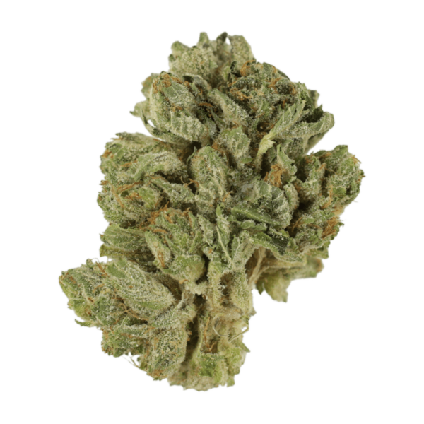 Northern Lights 2 for $69 | Cannalyft Canada