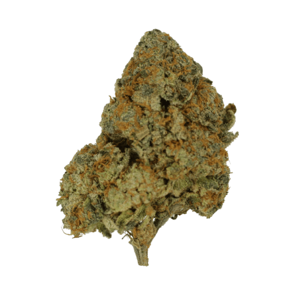 9lb Hammer | Cannalyft Canada