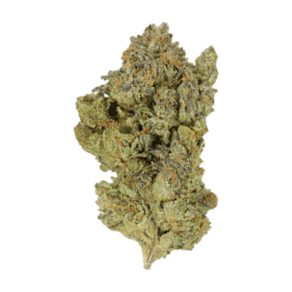 Golden Goat | Cannalyft Canada