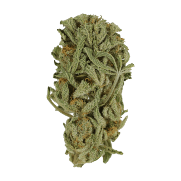 Master Kush Ultra | Cannalyft Canada