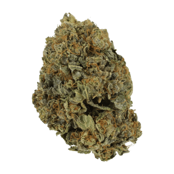 White Shark – 1 ounce | Cannalyft Canada