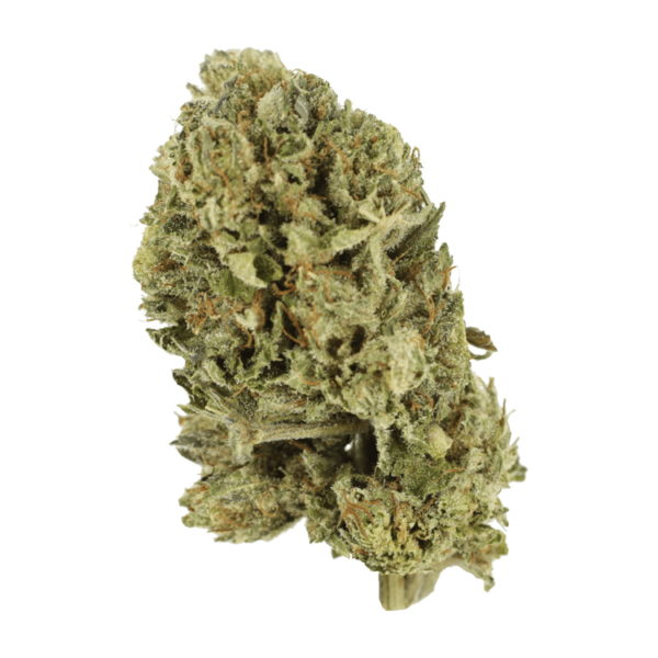 Purple OG Kush – 1 ounce | Cannalyft Canada