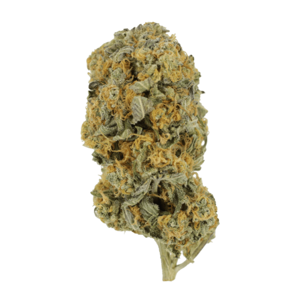 Sour Prince | Cannalyft Canada