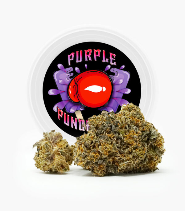 Westcoast Cali Tins – Premium Flower – Purple Punchsicle – 14g | Cannalyft Canada