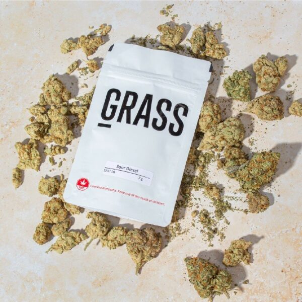 1/2OZ Sample Pack (AAA) – SAVE 20% | Cannalyft Canada