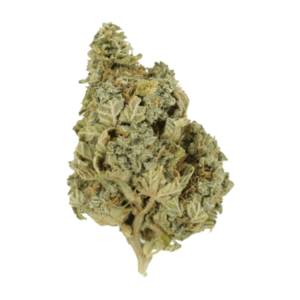 Khalifa Kush | Cannalyft Canada