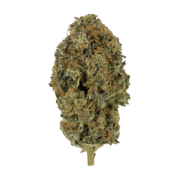 Acapulco Gold | Cannalyft Canada