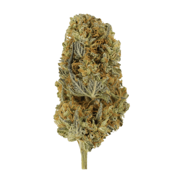 Headband | Cannalyft Canada