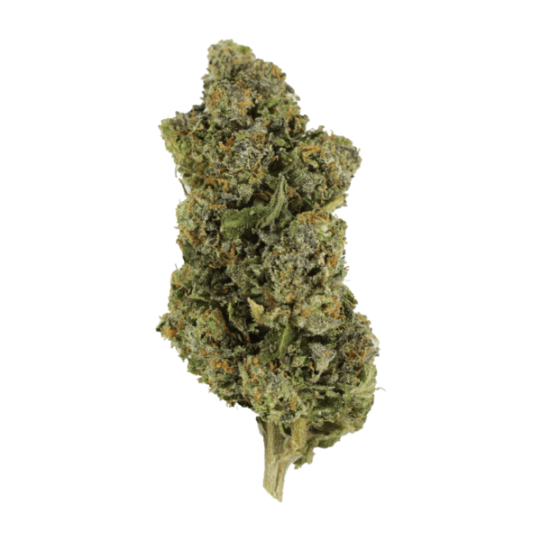 Jokerz | Cannalyft Canada