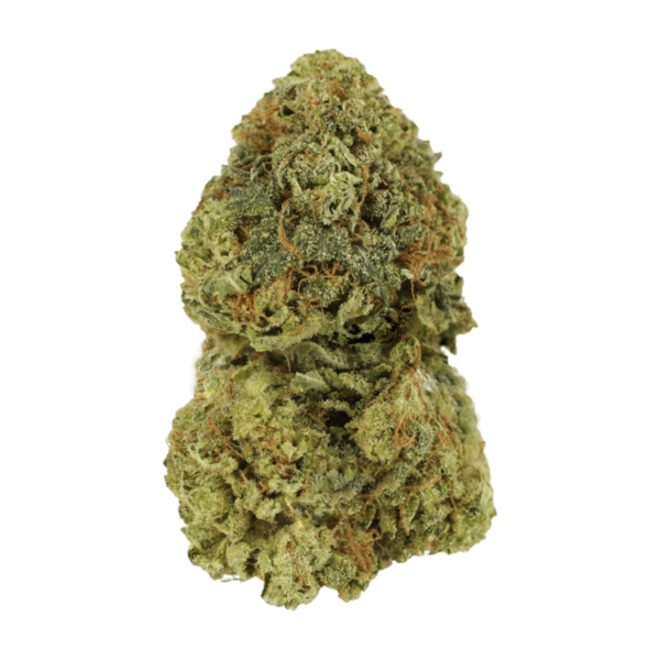 Critical Mass | Cannalyft Canada