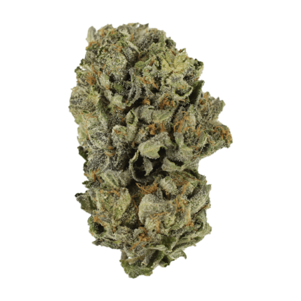 Cerebro Haze | Cannalyft Canada