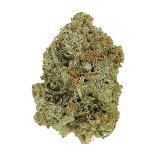 Jack Herer (popcorn) | Cannalyft Canada