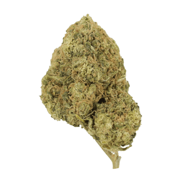 Laughing Buddha | Cannalyft Canada