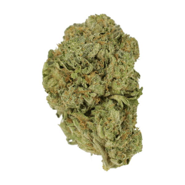 Super Blue Dream | Cannalyft Canada