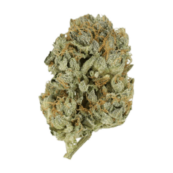 Kashmir Kush | Cannalyft Canada