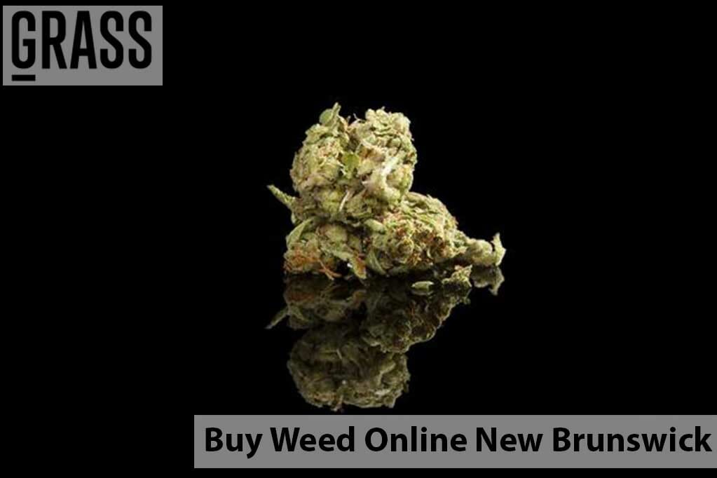 Cannalyft Canada – Your Online Dispensary New Brunswick | Cannalyft Canada | Cannalyft Canada