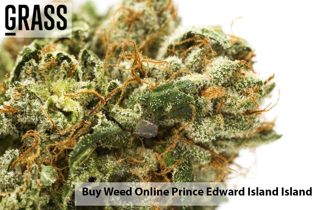 Buy cannabis Online Prince Edward Island | Cannalyft Canada | Cannalyft Canada