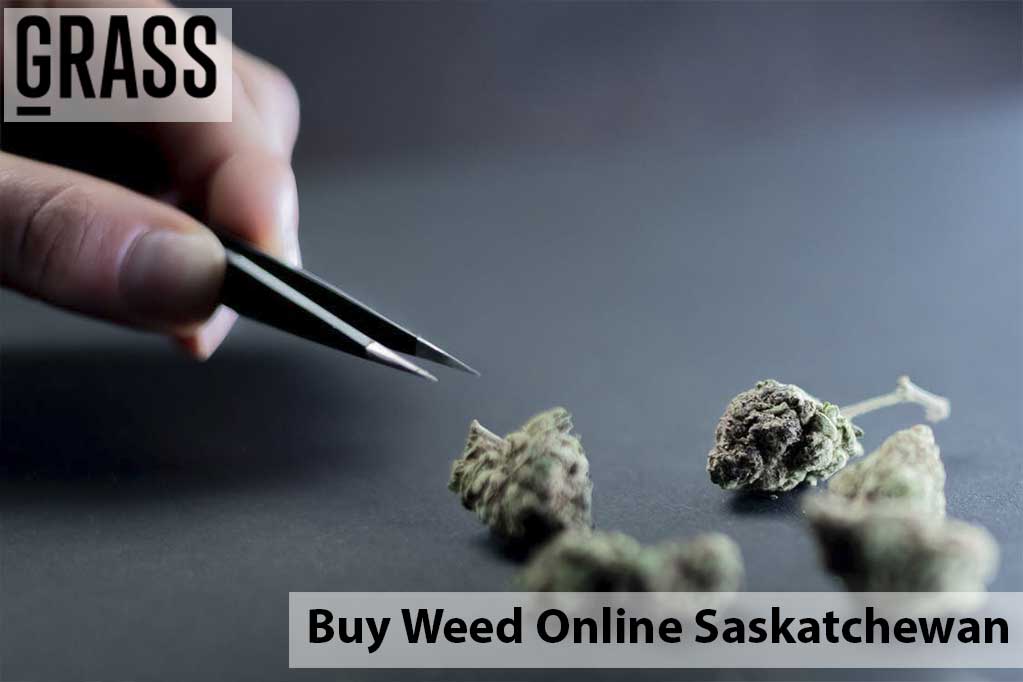 Buy cannabis Online Saskatchewan | Cannalyft Canada | Cannalyft Canada