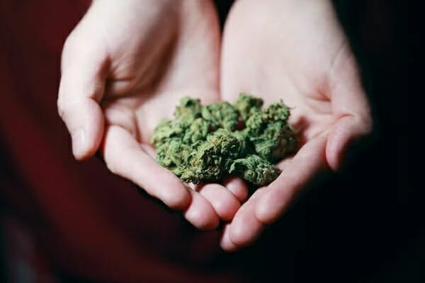 Buy cannabis Online Prince Edward Island | Cannalyft Canada | Cannalyft Canada