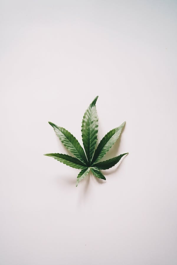 Buy cannabis at the Best Online Dispensary Manitoba | Cannalyft Canada | Cannalyft Canada