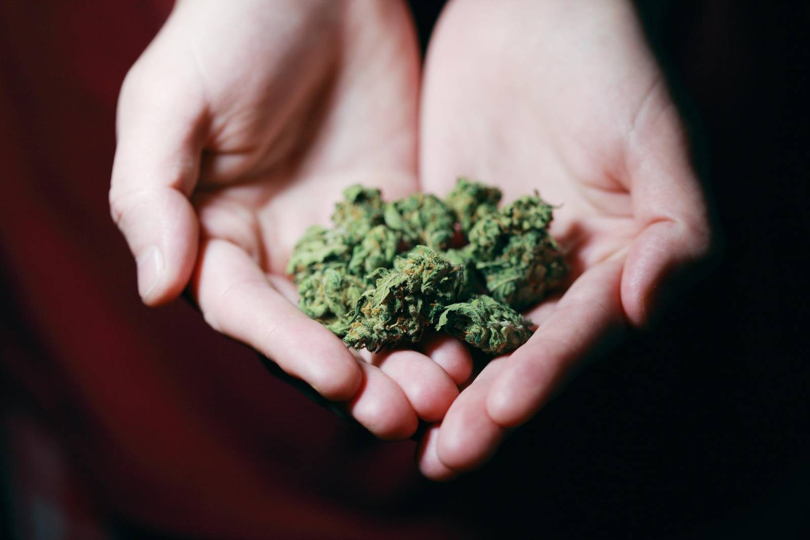 Buy cannabis Online | Cannalyft Canada | Cannalyft Canada