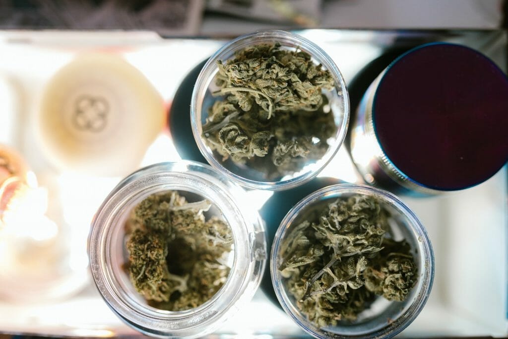 Best cannabis in Canada: Finding the Premium Hybrid Strains | Cannalyft Canada | Cannalyft Canada