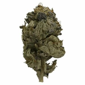 Cannalyft Canada - Pink Gas Strain | Cannalyft Canada