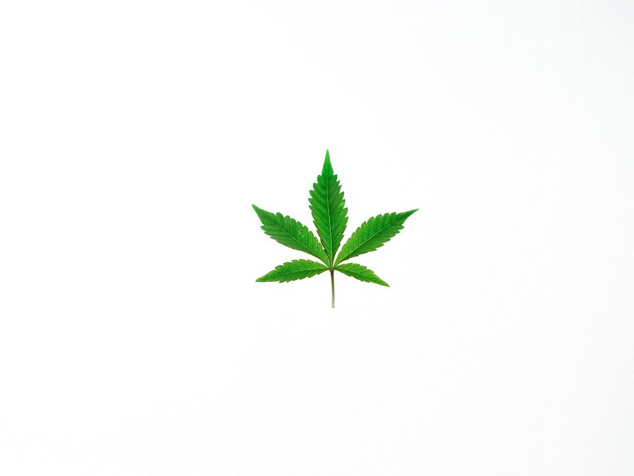 Benefits of Shopping in a BC cannabis Online Dispensary | Cannalyft Canada