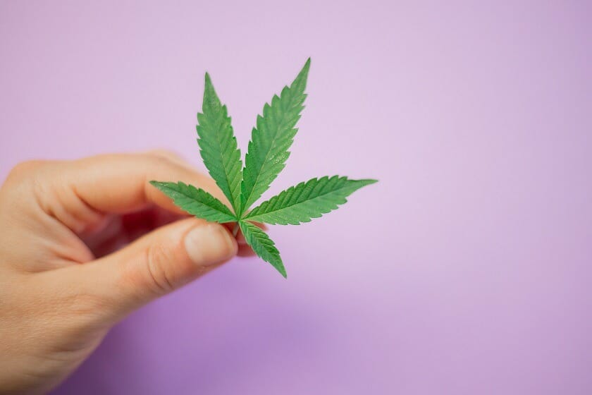 Discover How A cannabis Shop Helps You Better Understand Cannabis | Cannalyft Canada | Cannalyft Canada