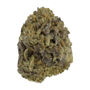 Snow Leopard | Cannalyft Canada