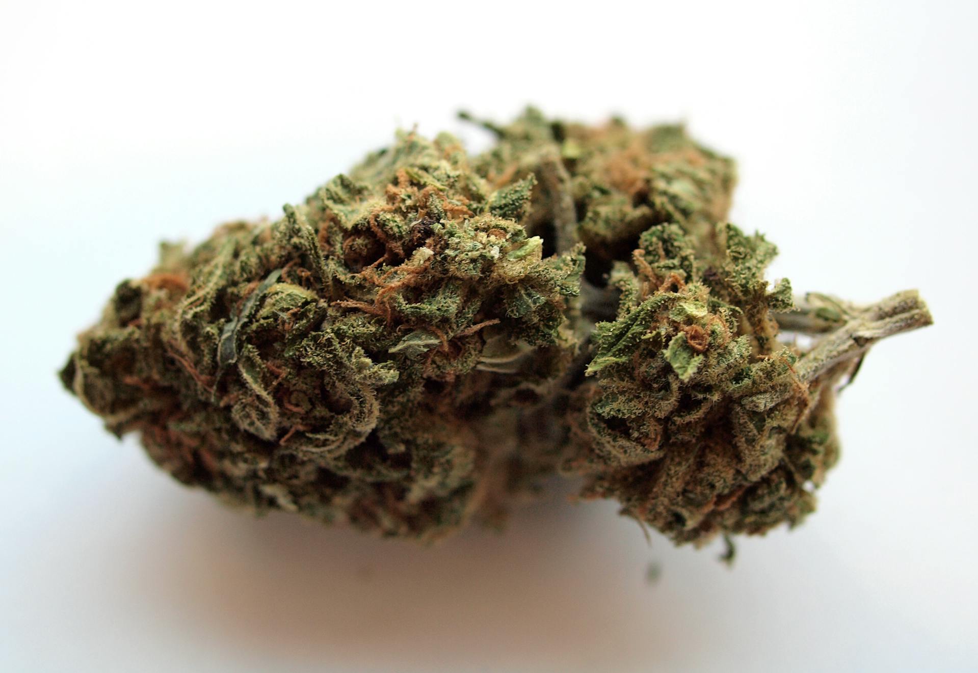 Buy cannabis online | Cannalyft Canada