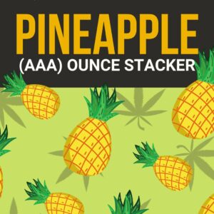 Pineapple 1 OZ Kit | Cannalyft Canada